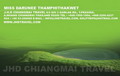 Chiangmai name card design