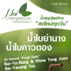 chiangmai brochure poster designer