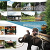 chiangmai brochure poster designer