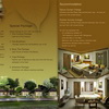 chiangmai brochure poster designer