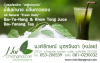 chiangmai business card designer