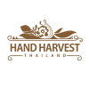 Logo design Hand Harvest chiangmai