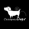 chiangmai logo designer