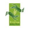 chiangmai logo designer