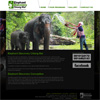 Elephant Discovery Chiang Mai
 TOUR & TRAVEL AGENCY Web Design Chiang Mai Thailand