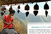 chiangmai web design by 777designz .com