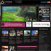 TOUR & TRAVEL AGENCY Web Design Chiang Mai Thailand