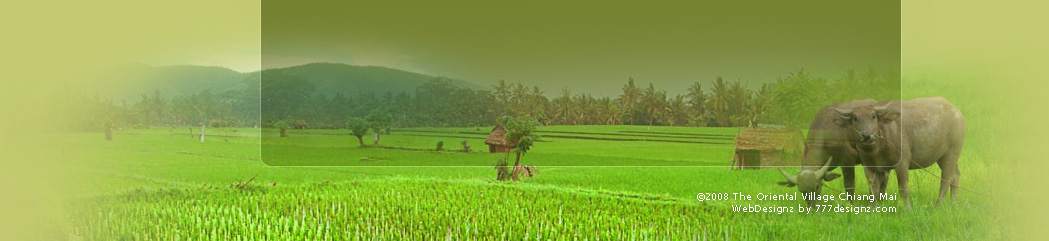 The Oriental Village Chiang Mai Thailand
